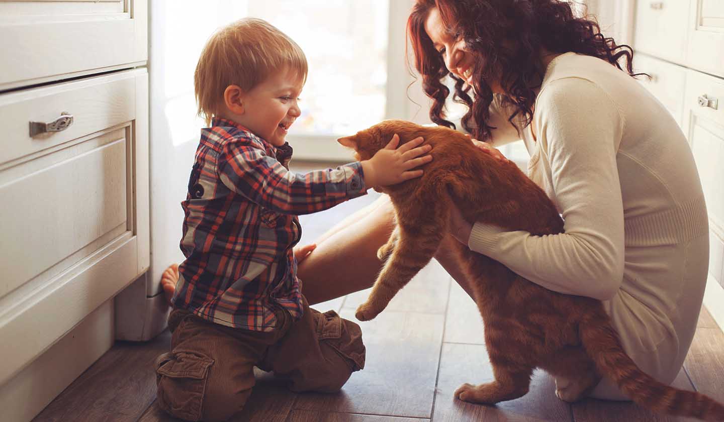 Questões a considerar antes de ter um animal de estimação