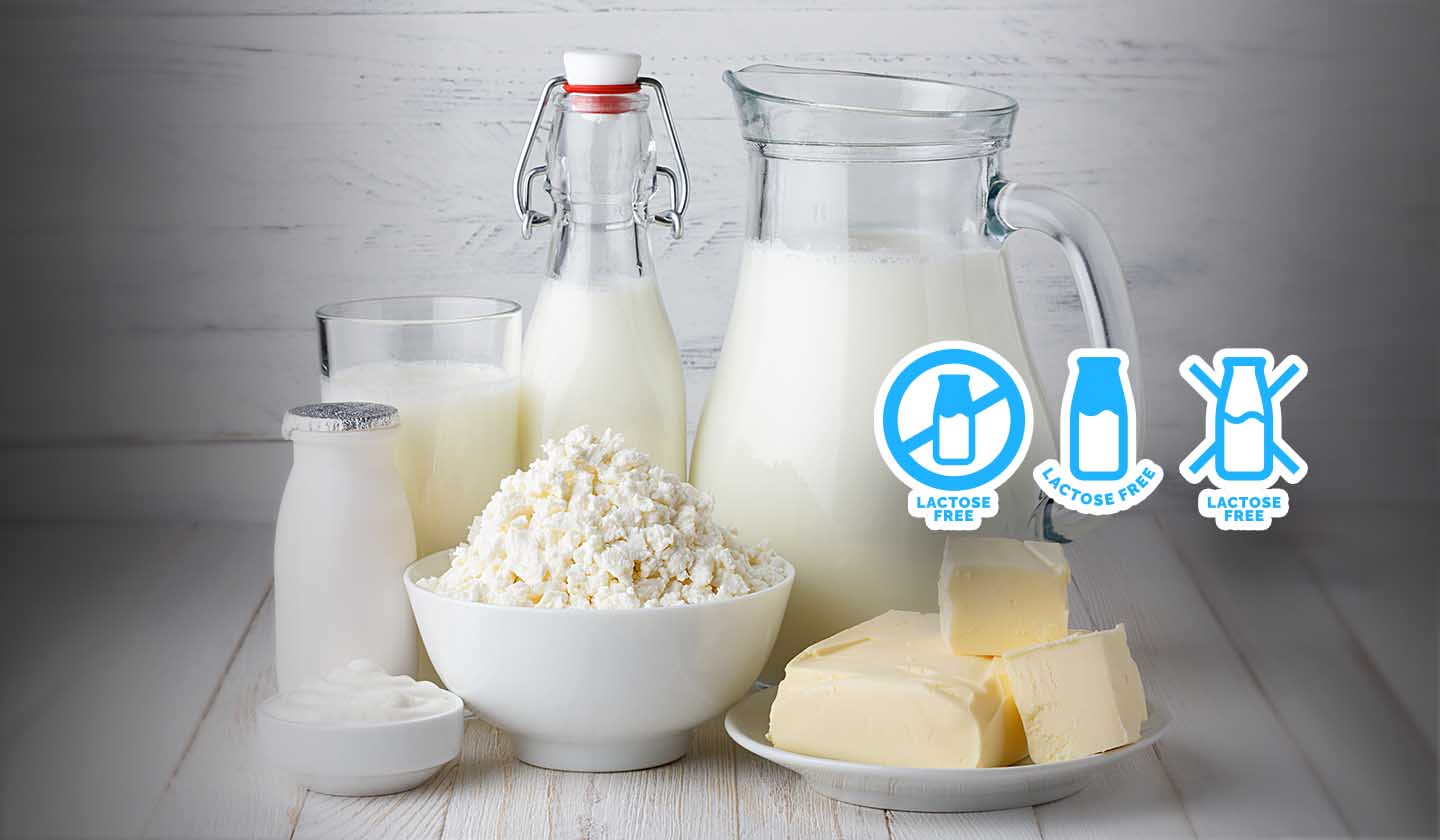 Estilo Vida Saudável