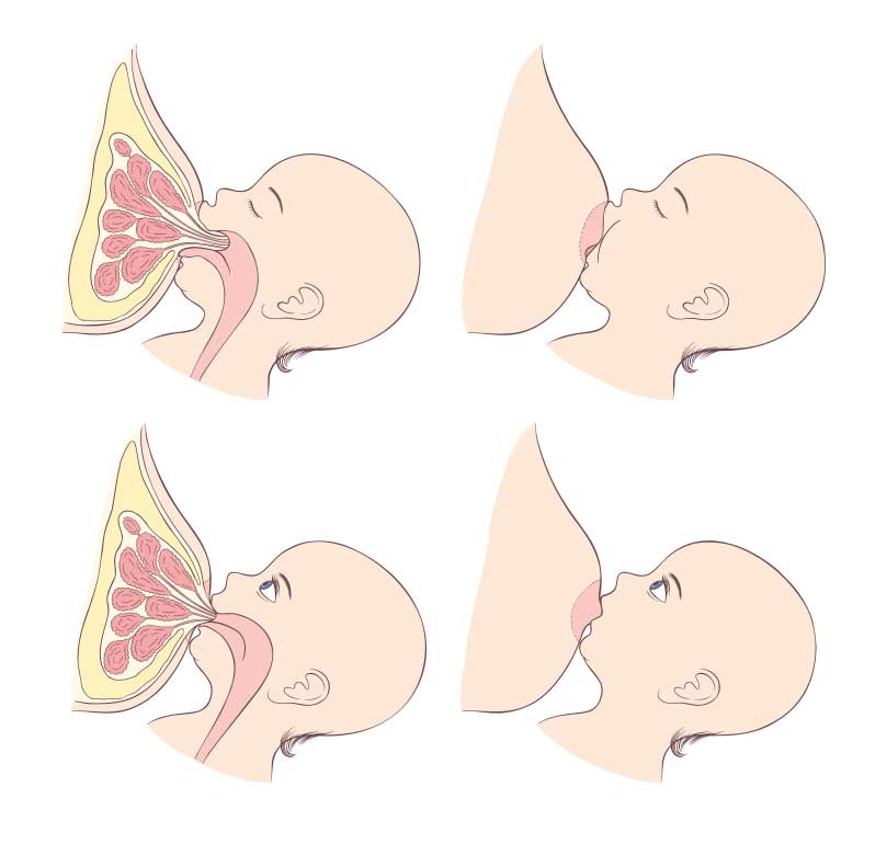 Correct breastfeeding position