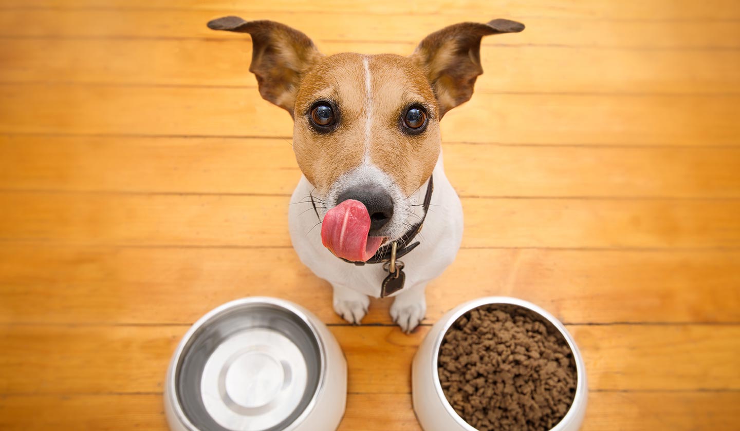 Uma dieta equilibrada