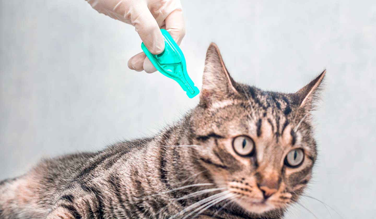 Prevenção e Cuidados com o meio ambiente