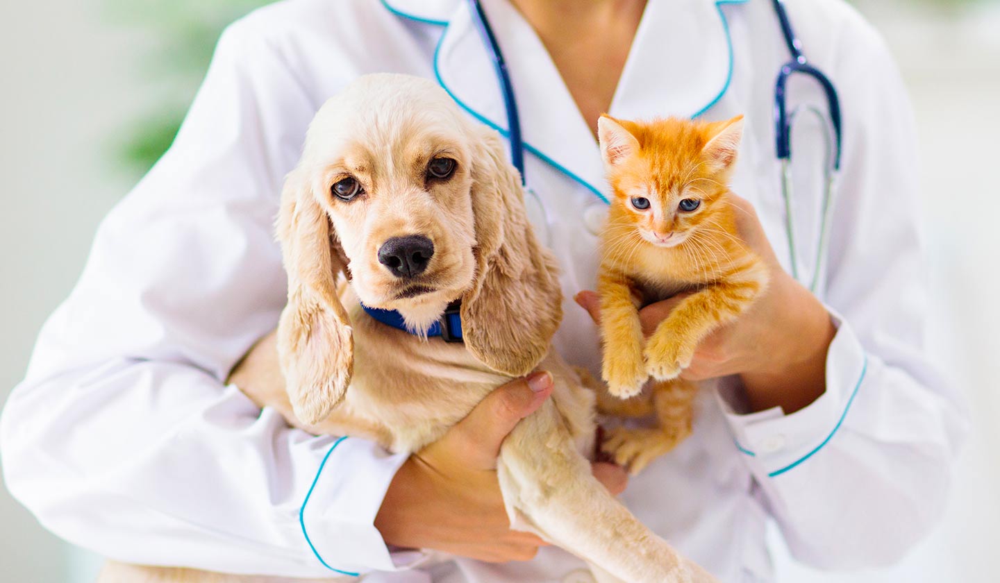 Diagnosis and treatment 