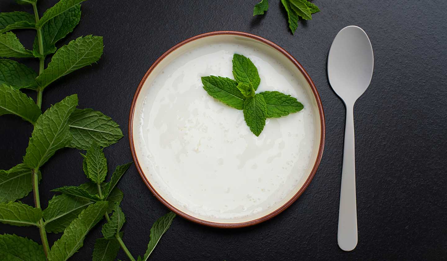 Alimento probiótico