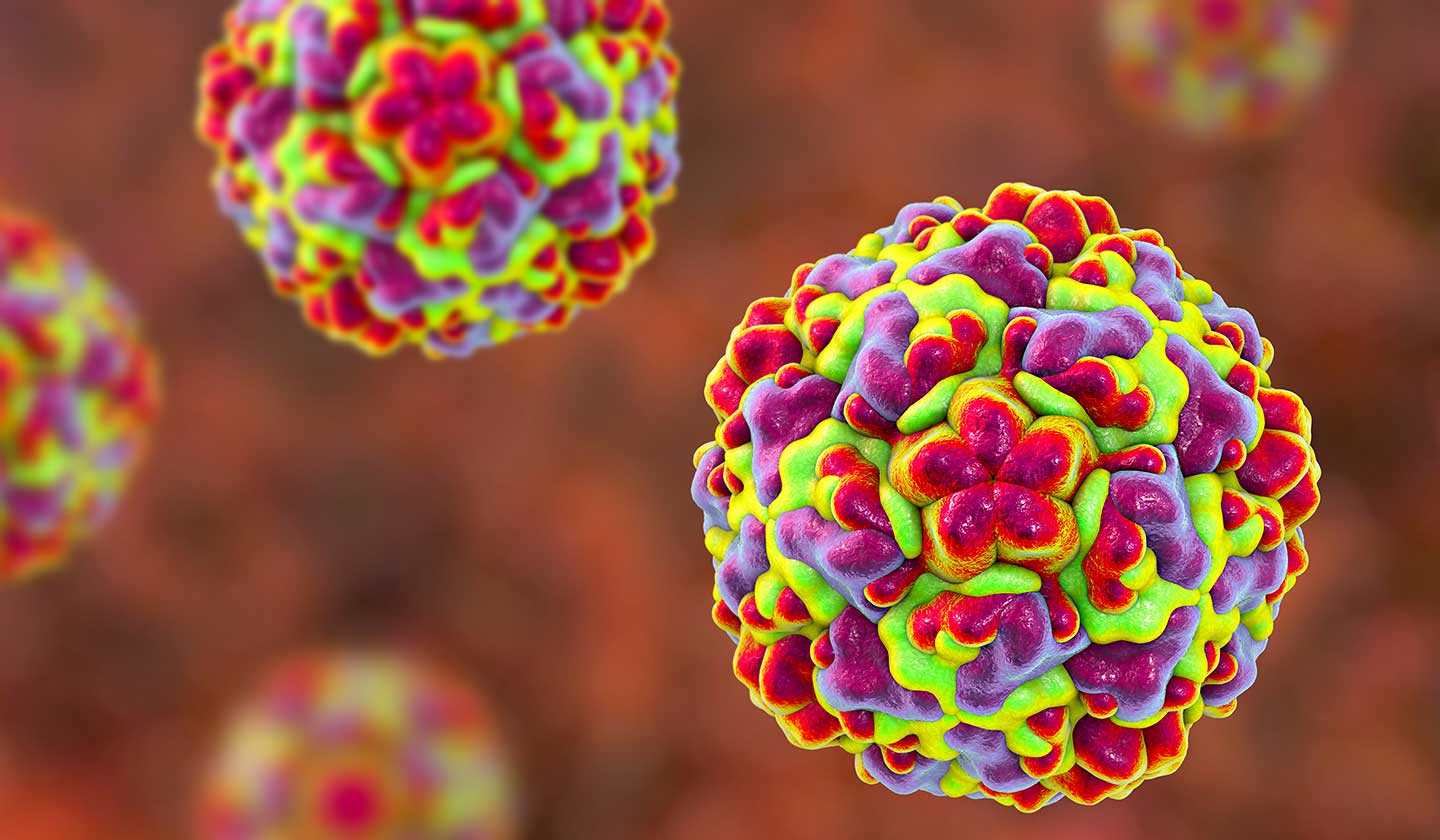 Farmácia de Família