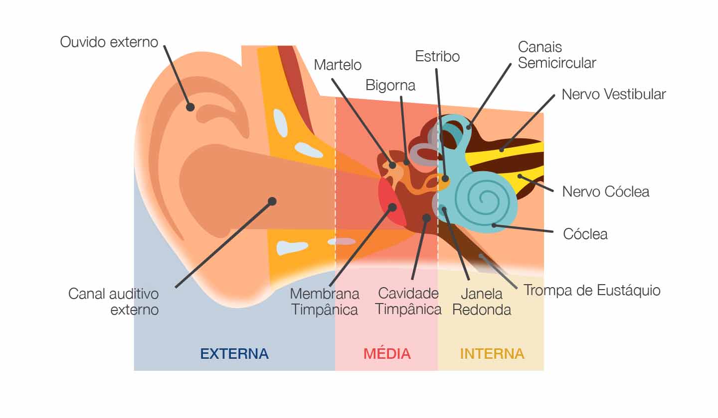 dor ouvidos atenção crianças