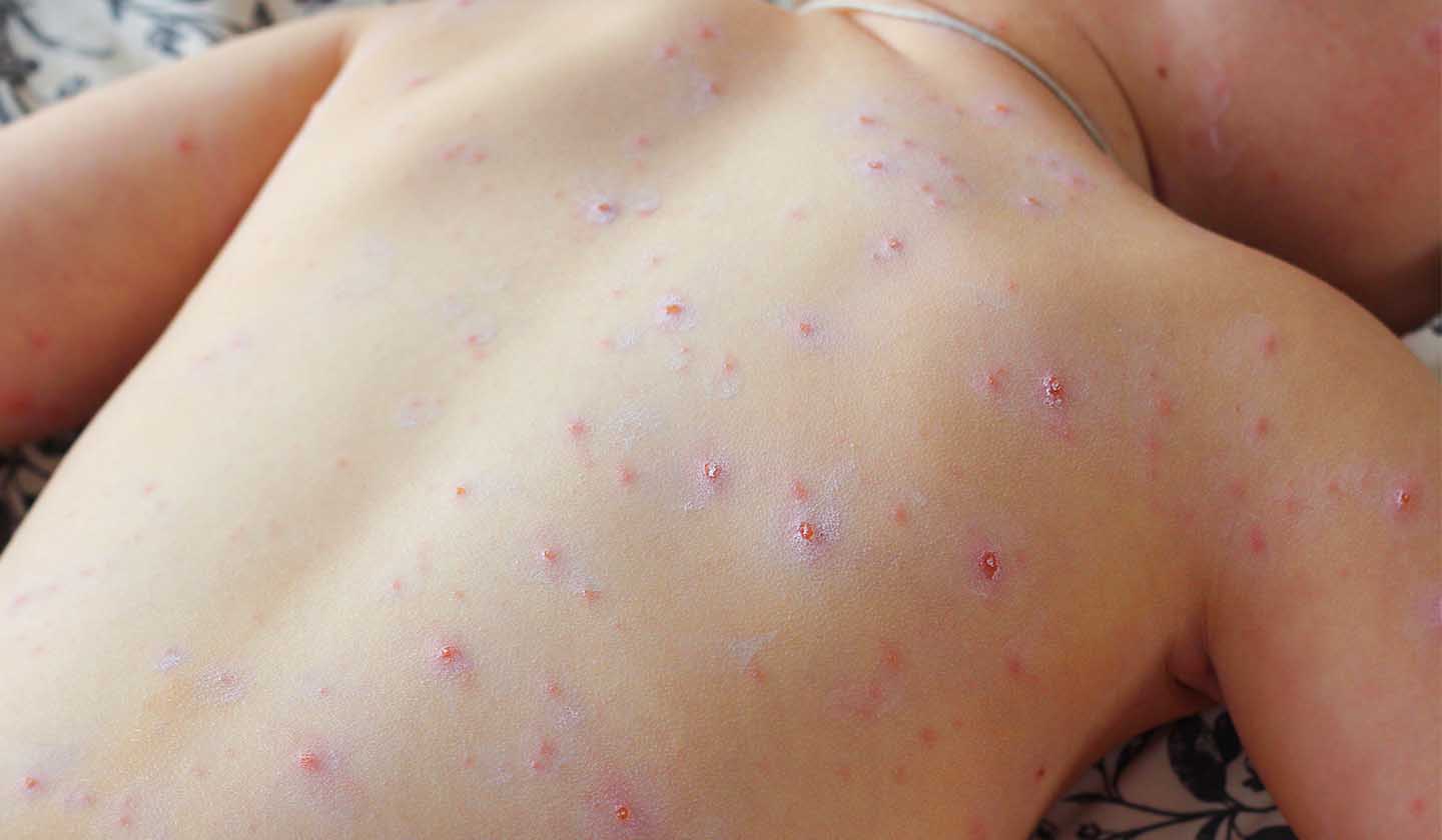 Farmácia de Família